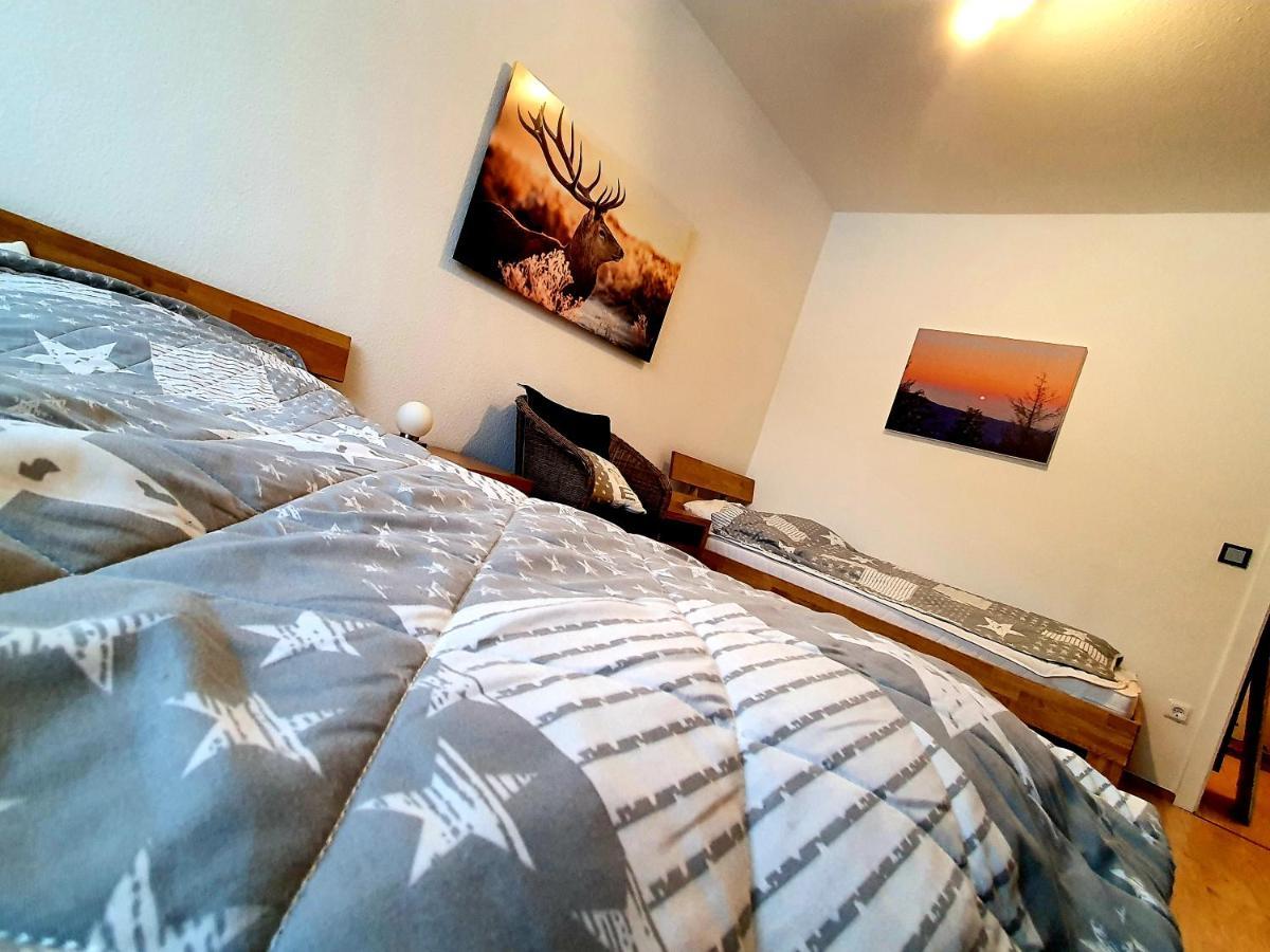 Apartment Anke Braunlage Extérieur photo